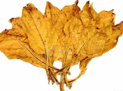 Flue Cured Virginia Thin Leaf (First Priming), 1lb.