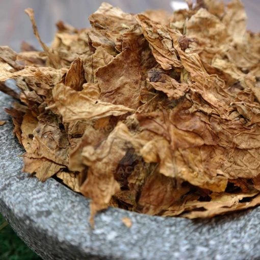 Virginia Threshed Tobacco Flue Cured in a bowl