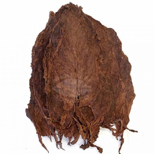CV PA Broadleaf Ligero, 1lb.