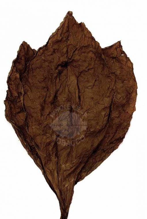 Ecuador Corona Wrapper, 1lb.