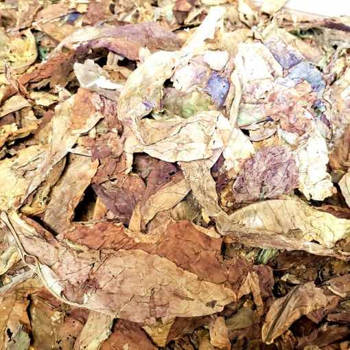 Turkish Samsun, 1lb.