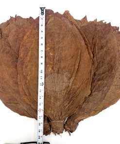 Sumatra Cigar Binder, 1lb.