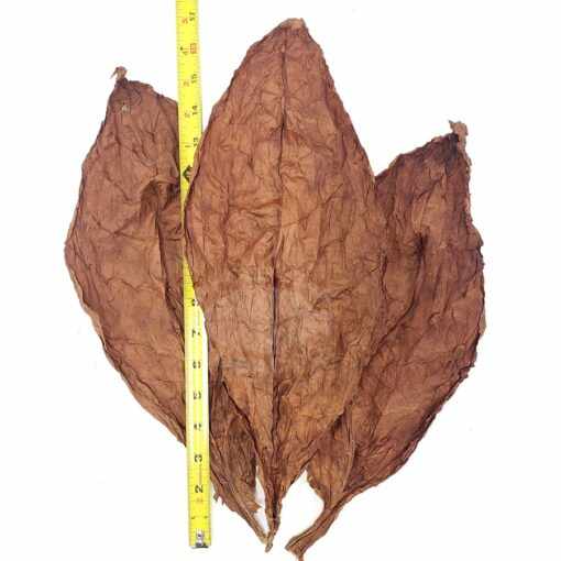 Corojo Wrapper 1 lb.17"